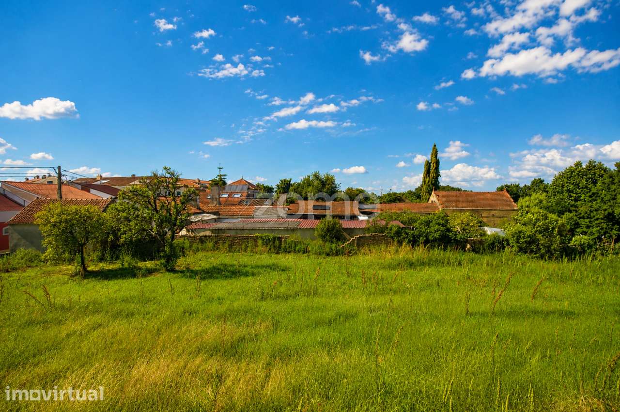 Quinta Senhorial |41 Metros de frente |15.000 m² de terreno |Sangalhos - View 2