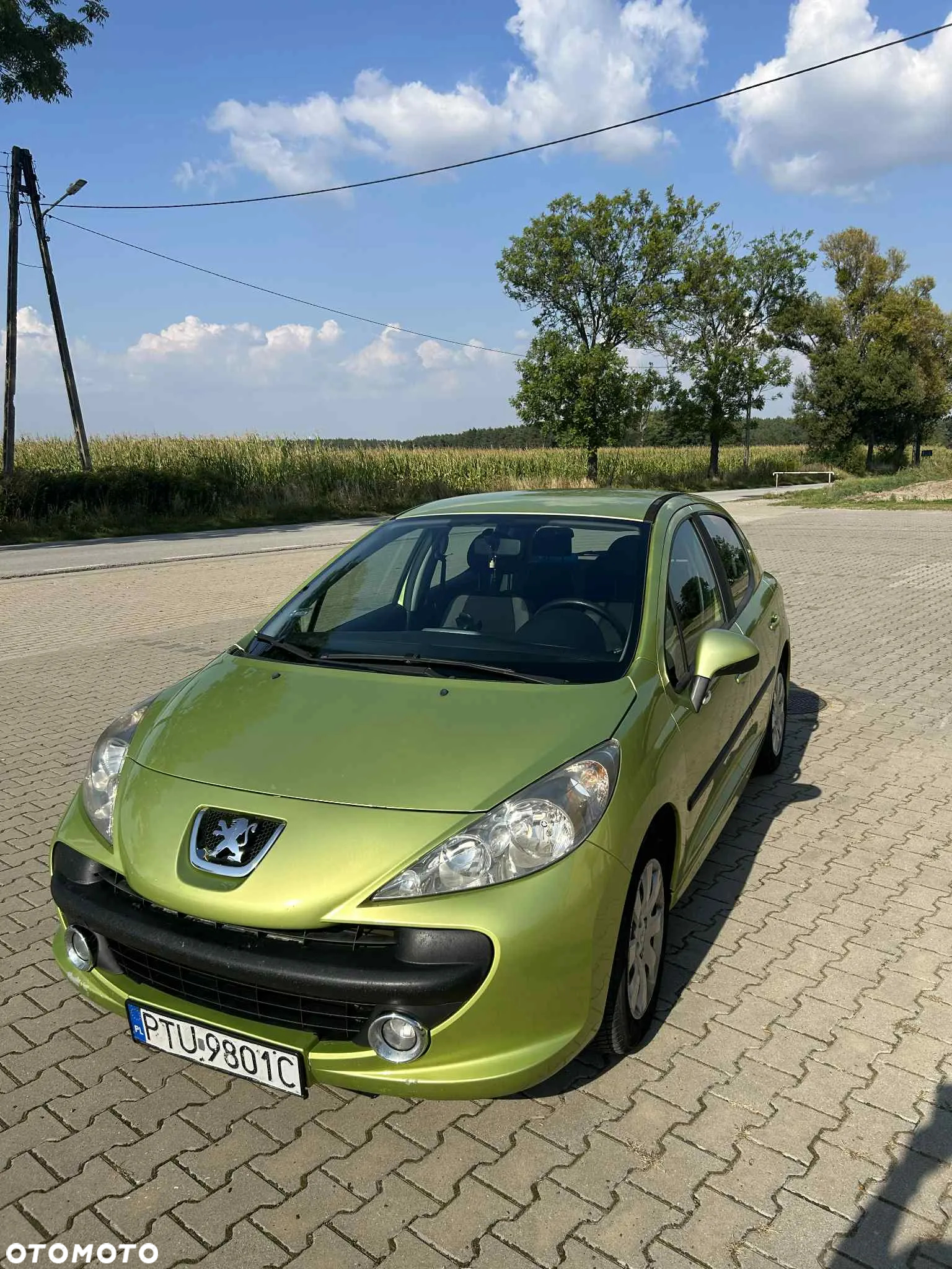 Peugeot 207 - 5