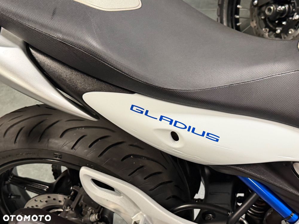 Suzuki Gladius - 14