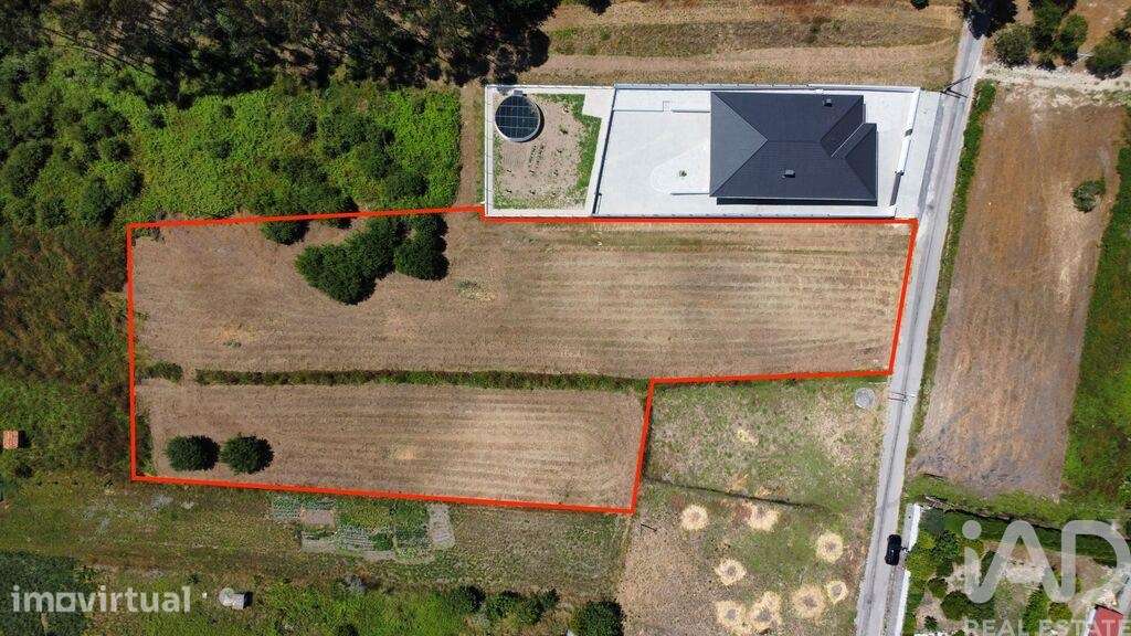 Terreno Agrícola em Oiã - Grande imagem: 4/10