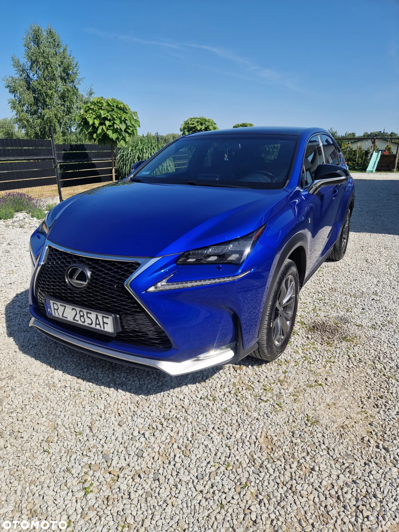 Lexus NX 200t F Sport AWD - 16
