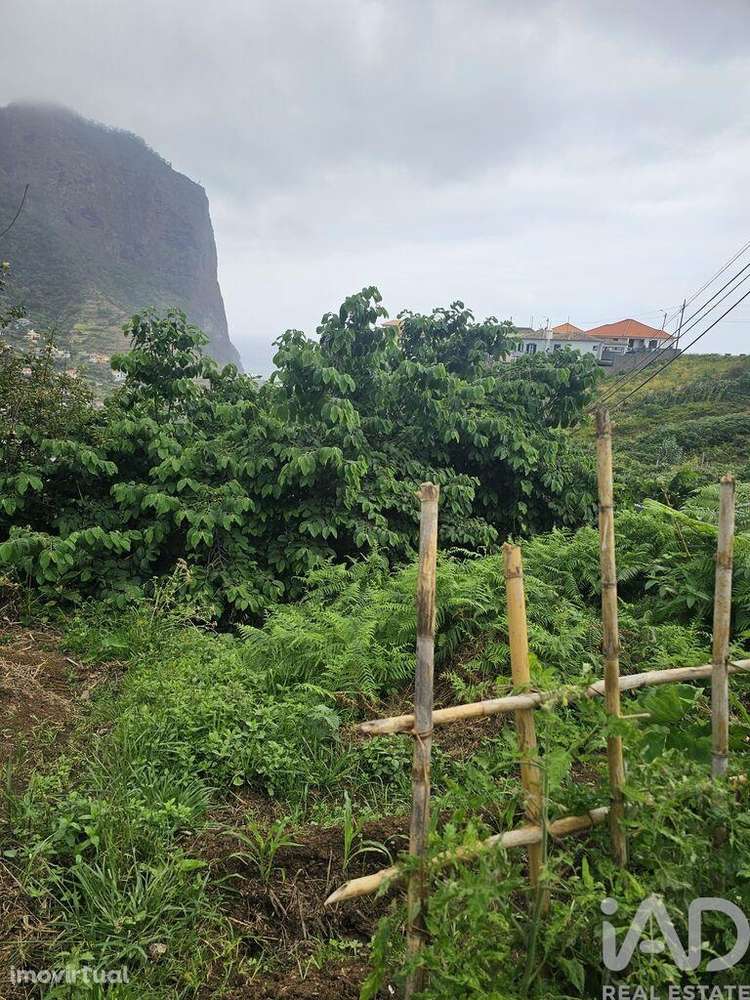 Terreno em Porto da Cruz de 990,00 m2 - Grande imagem: 3/9