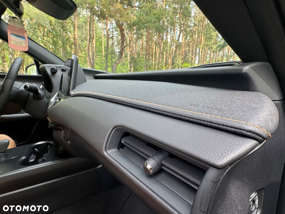 Lexus UX 300h F Sport AWD - 12