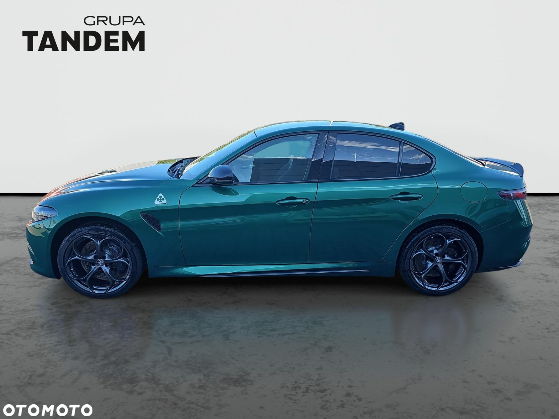 Alfa Romeo Giulia 2.9 Bi Turbo V6 Quadrifoglio - 8