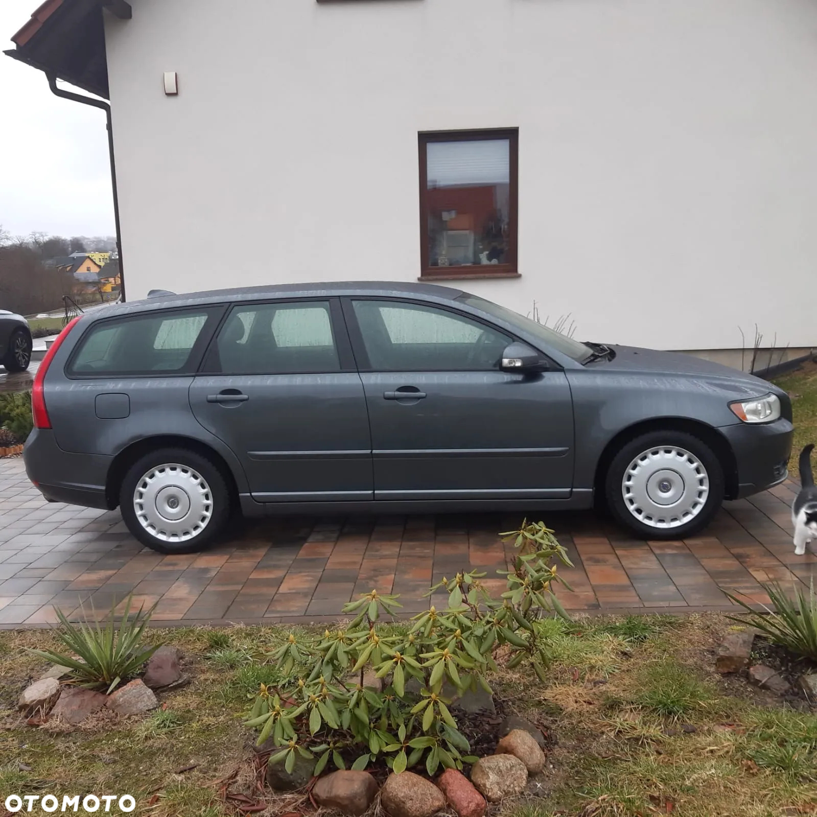 Volvo V50 - 7