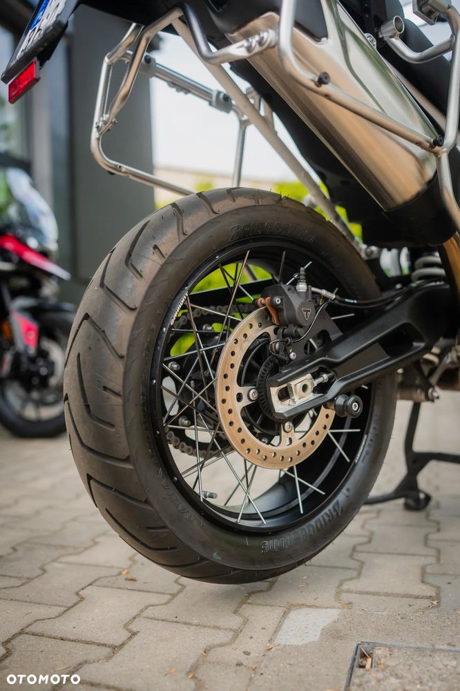 Triumph Tiger - 17
