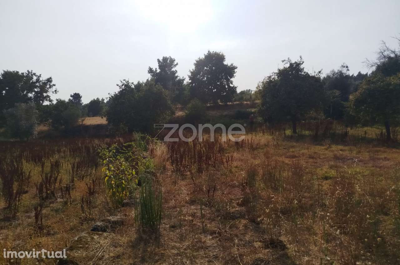 Terreno, 4 699 m², Santiago de Cassurrães e Póvoa de Cervães - Grande imagem: 4/19