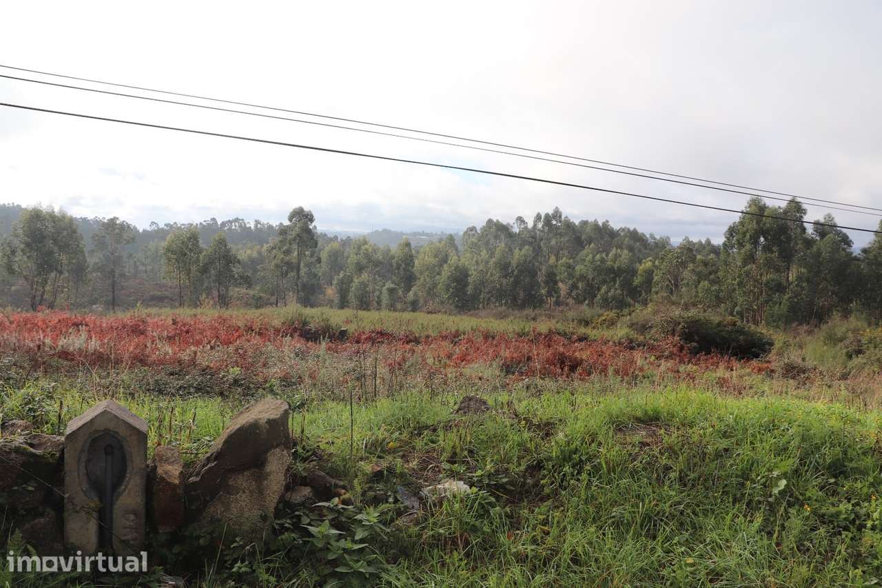 Lote de Terreno  Venda em Lustosa e Barrosas (Santo Estêvão),Lousada - Grande imagem: 3/8