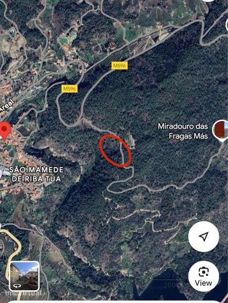 Terreno Rustico com Oliveiras e Ruina 6000m2 - Grande imagem: 2/3