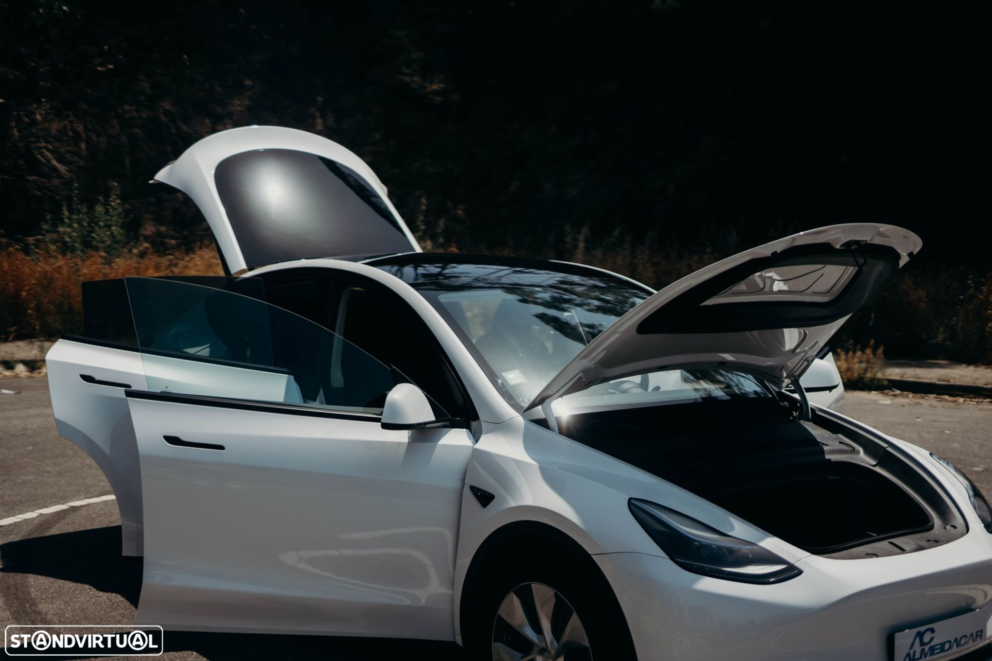 Tesla Model Y Tração Traseira - 35