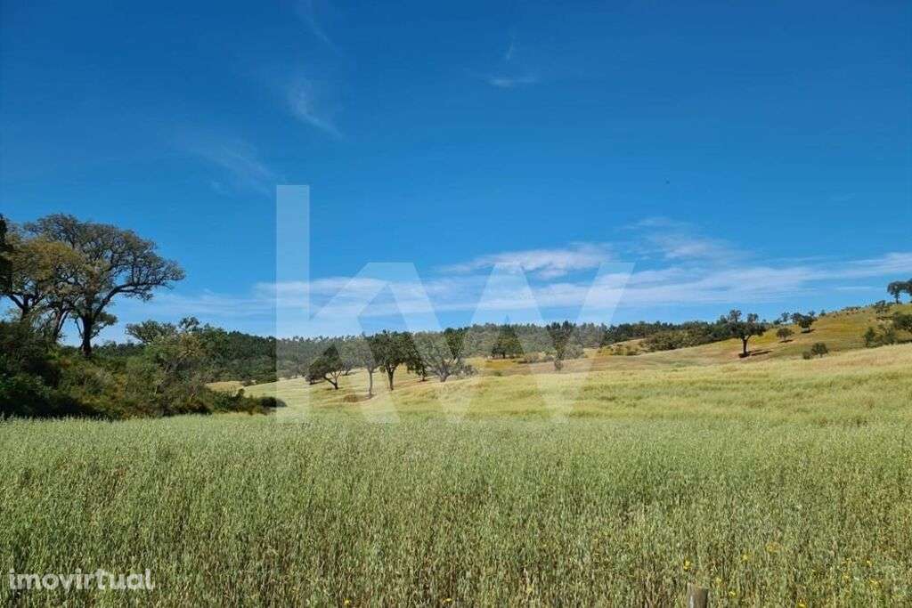 Herdade de 154 ha com ruína habitacional em Cubeiros de Cima, Relíquia - Grande imagem: 2/22