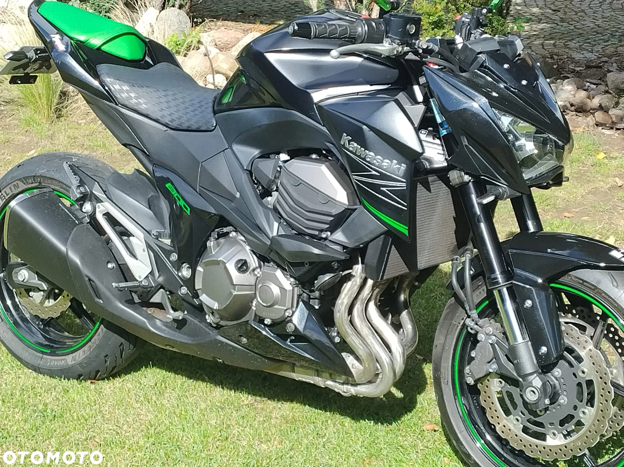 Kawasaki Z - 10