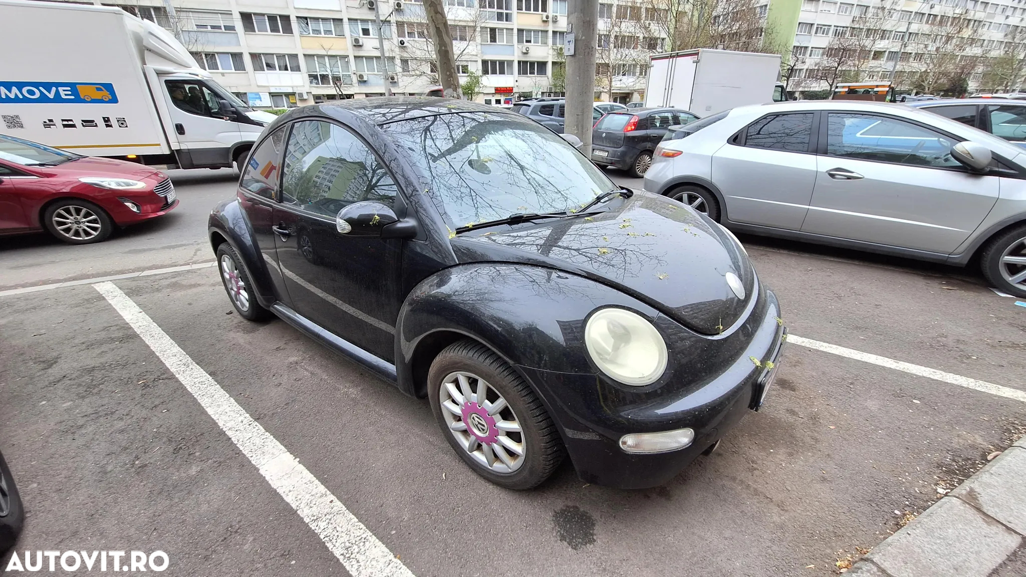 Volkswagen Beetle - 8