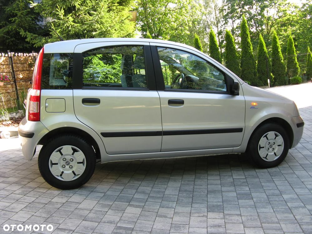 Fiat Panda 1.2 Dynamic Plus - 35