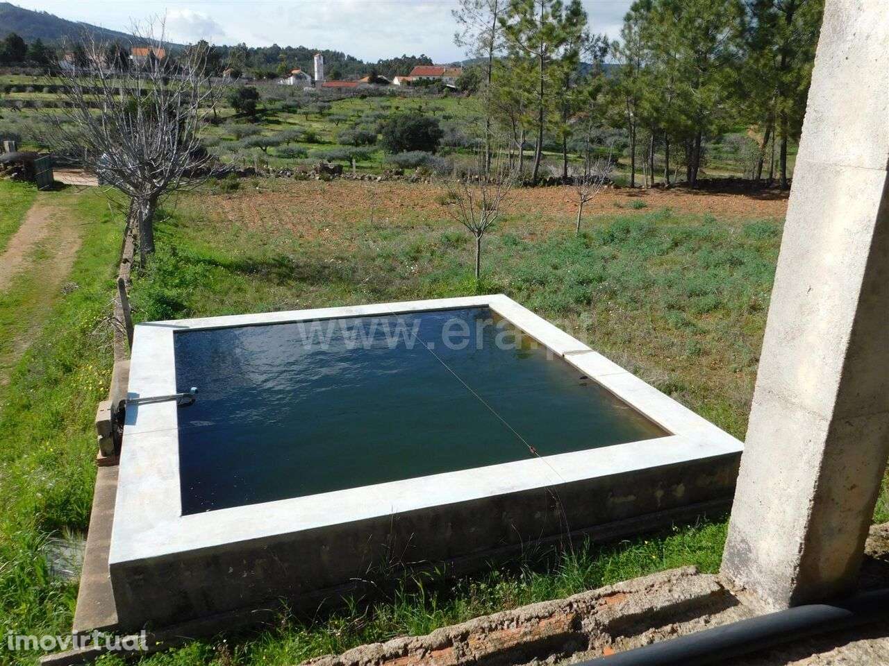 Quinta / Fundão, Quintas da Torre - Grande imagem: 3/3