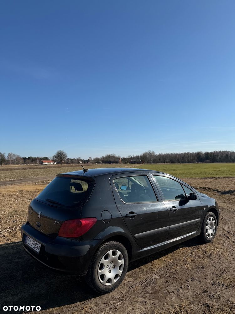 Peugeot 307 2005 photo 3