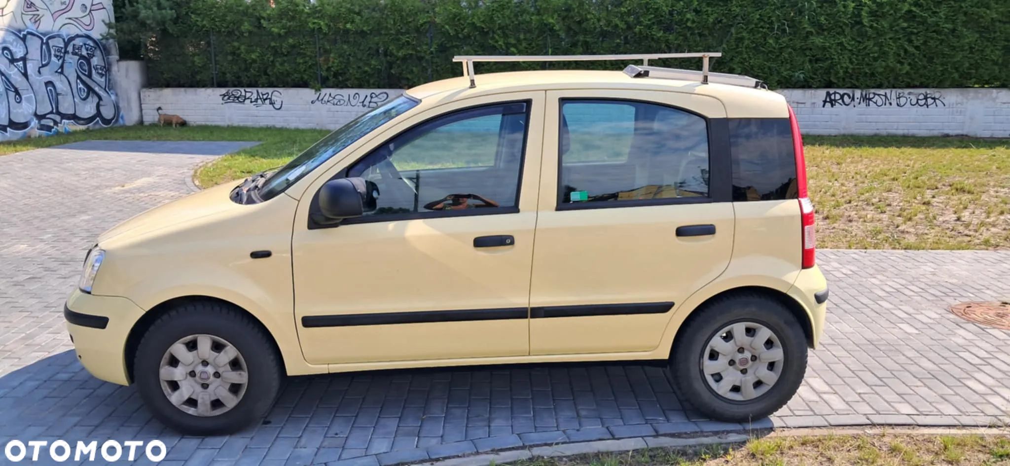 Fiat Panda 1.3 Multijet Dynamic - 1