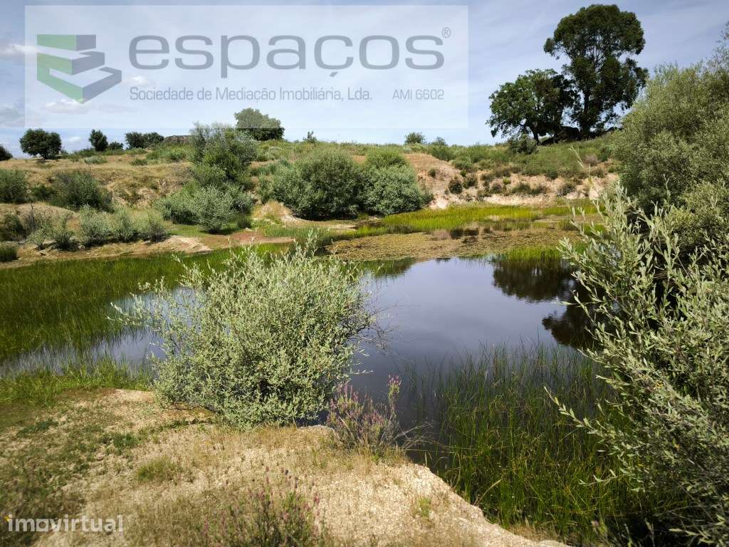 Terreno com 60.000 m² às portas da cidade de Castelo Branco - Grande imagem: 2/15