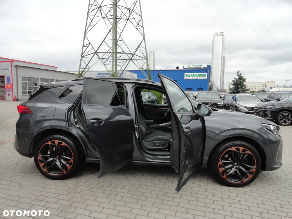Cupra Terramar 2.0 TSI 4Drive DSG VZ - 14