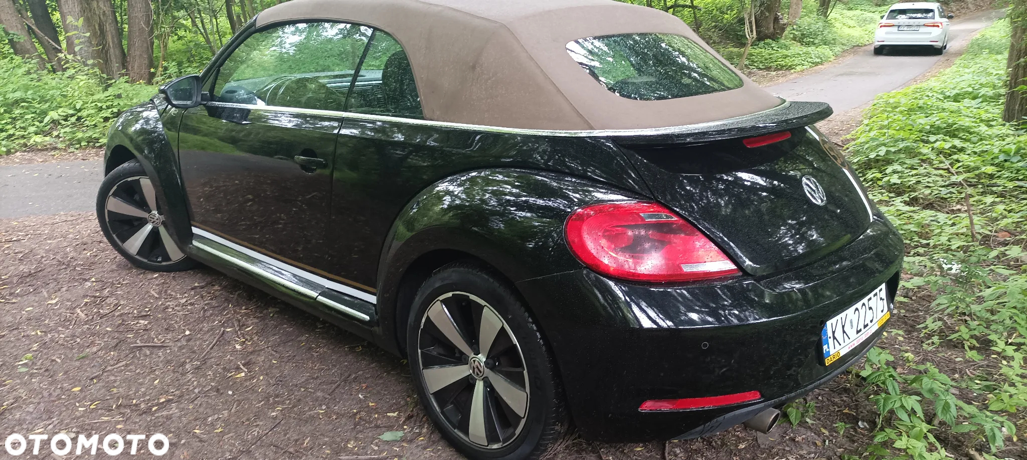 Volkswagen Beetle The Cabriolet 1.2 TSI (BlueMotion Tech) - 37