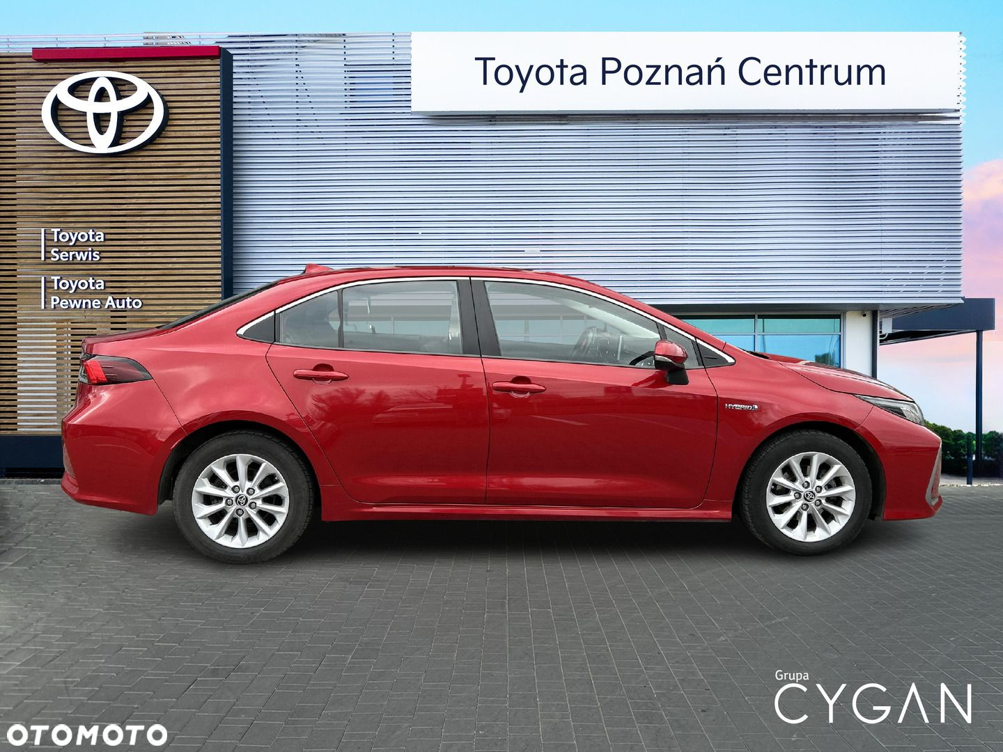 Toyota Corolla - 6