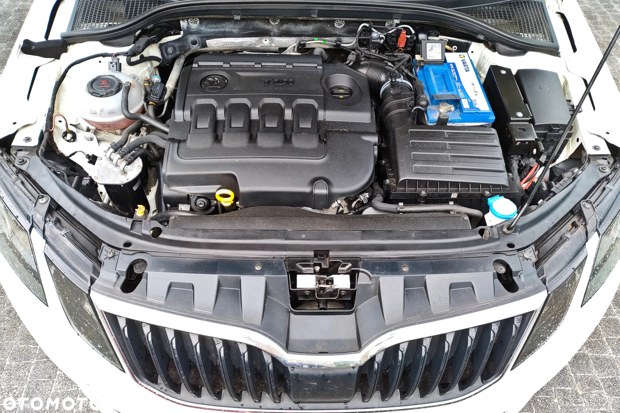 Skoda Octavia 2.0 TDI Ambition EU6 - 20