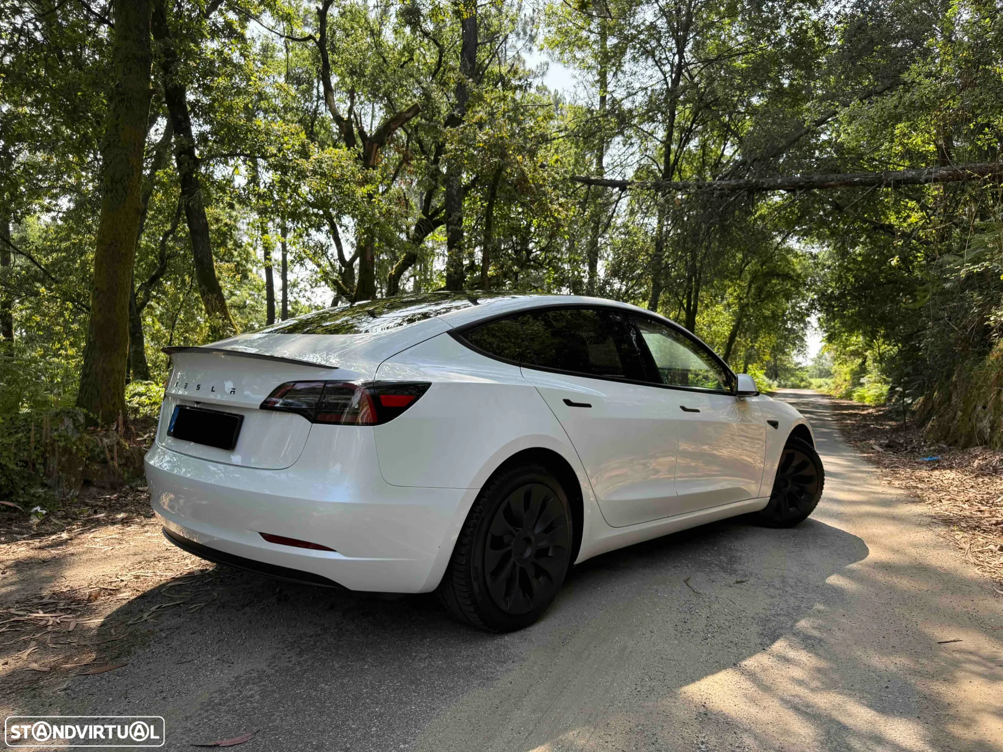 Tesla Model 3 Tração Traseira Premium - 7