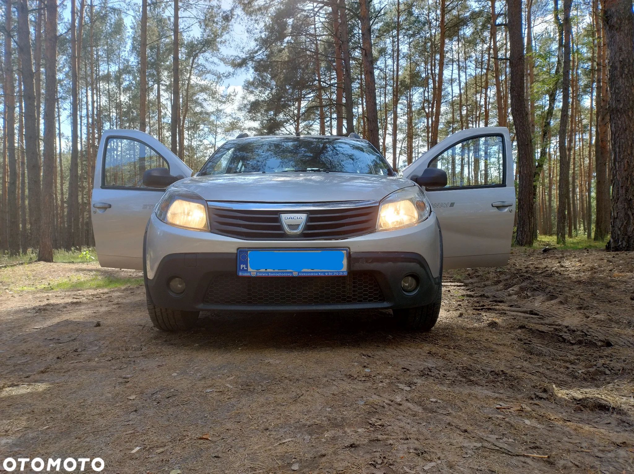 Dacia Sandero - 1