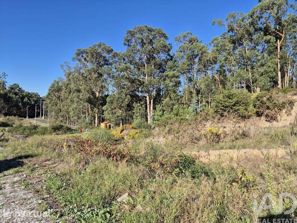 Terreno em Fajões - Grande imagem: 3/25