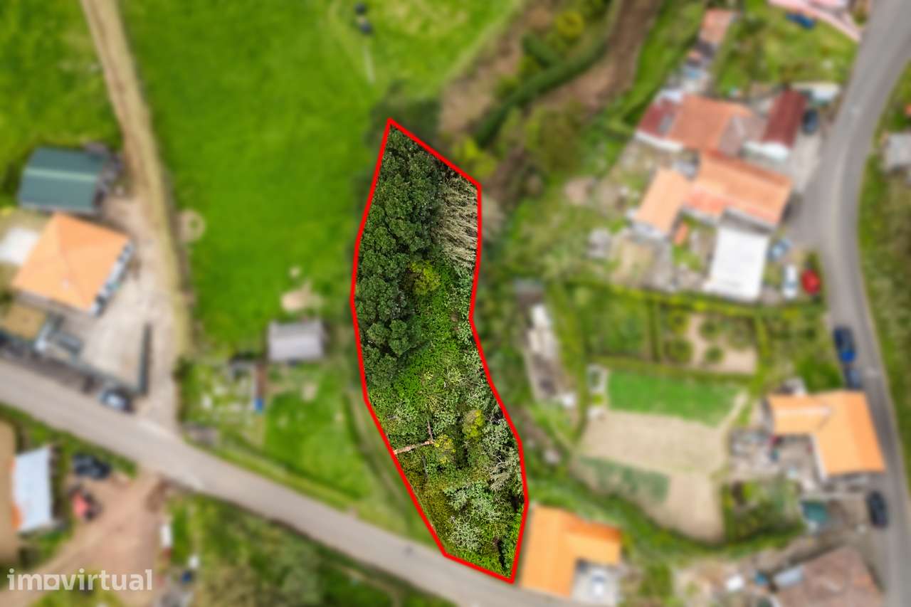 Terreno para construção - Ilha do Faial - Grande imagem: 5/6