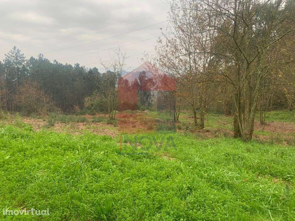 Terreno para construção, Sabariz - Grande imagem: 3/11