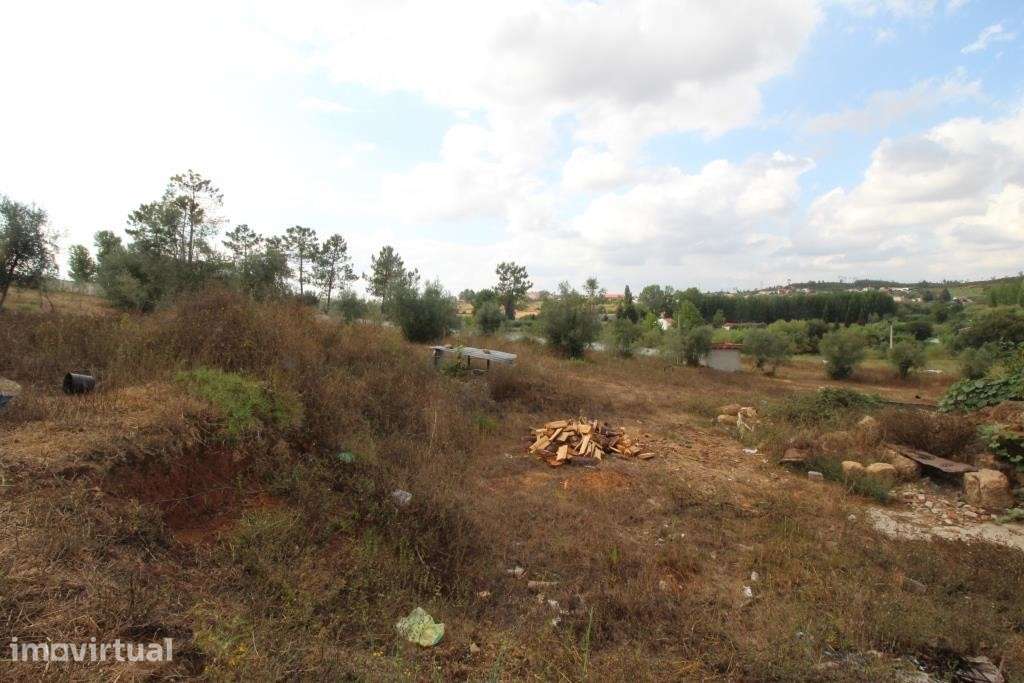 Terreno, Coimbra, Cernache - Grande imagem: 2/3
