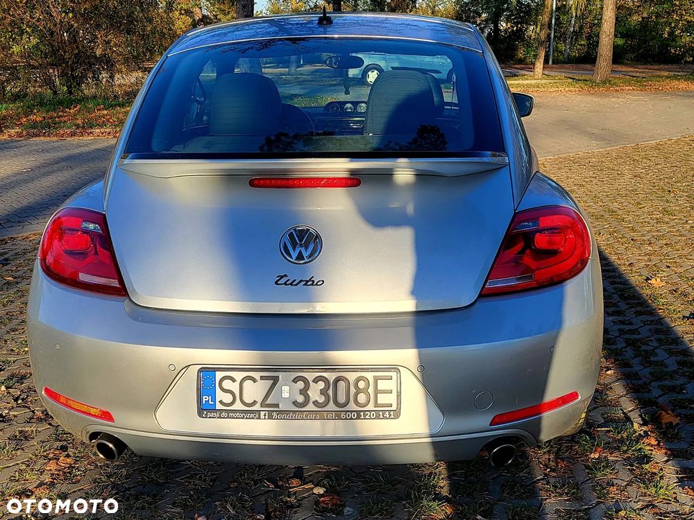 Volkswagen Beetle - 11