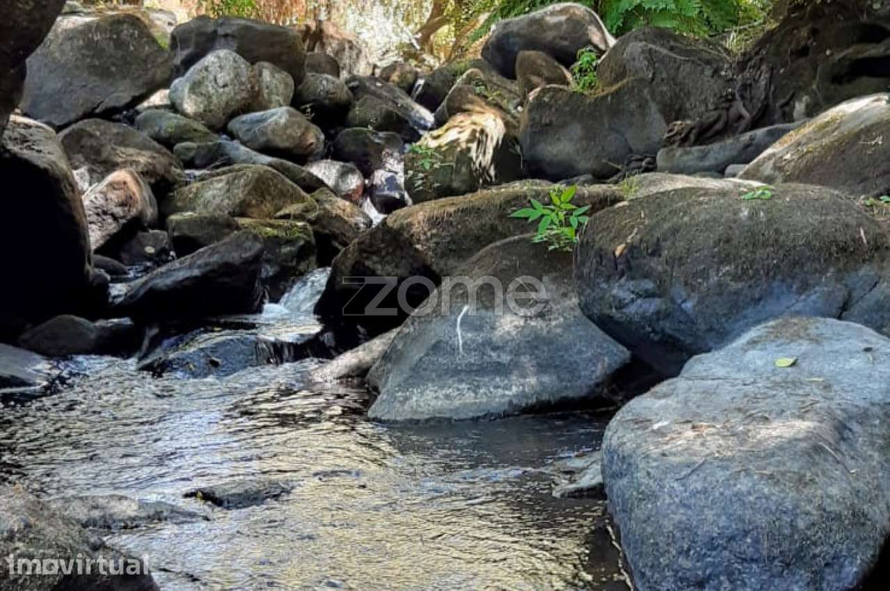 Quinta junto ao rio Seia - Grande imagem: 3/17
