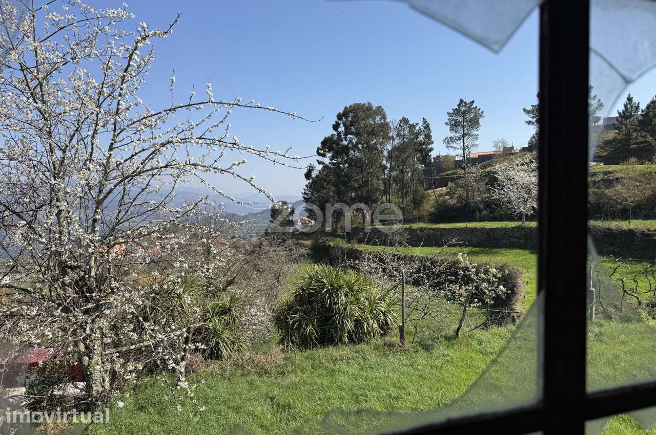 Terreno de 1ha com casa e ruína, centro de Cinfães. - Grande imagem: 3/29