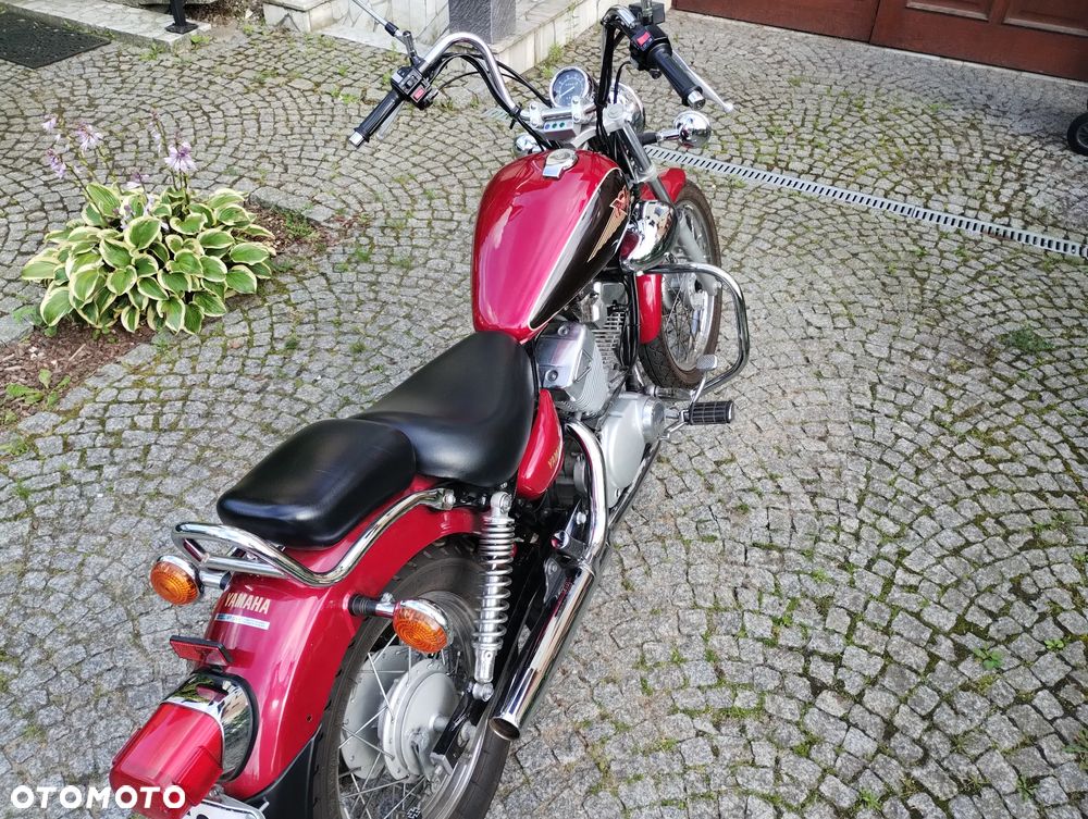 Yamaha Virago - 6