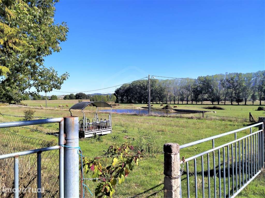 Quinta com moradia e terreno agrícola - Boidobra - Covilhã - Grande imagem: 5/51
