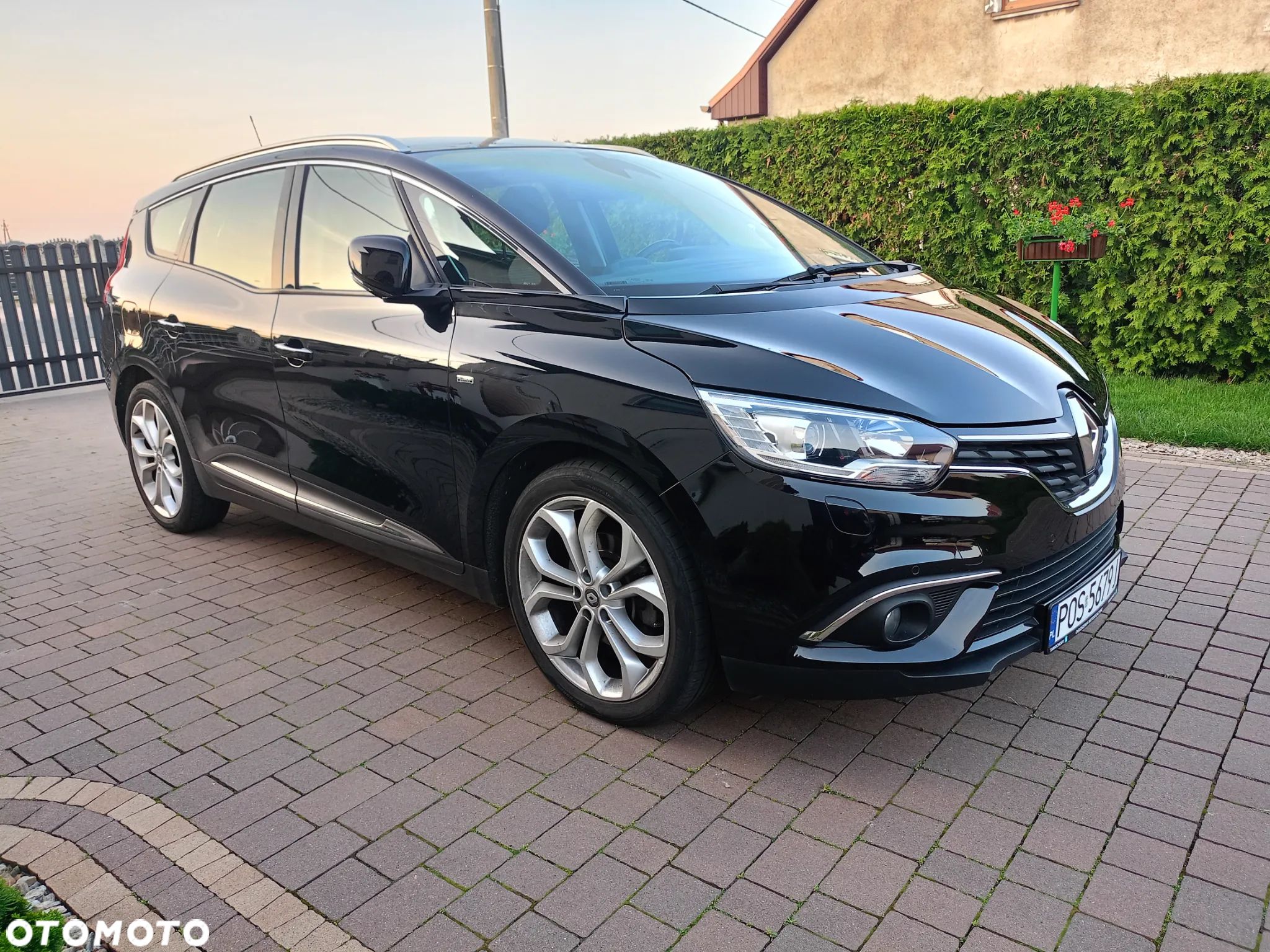 Renault Scenic 1.6 dCi Energy Limited - 1