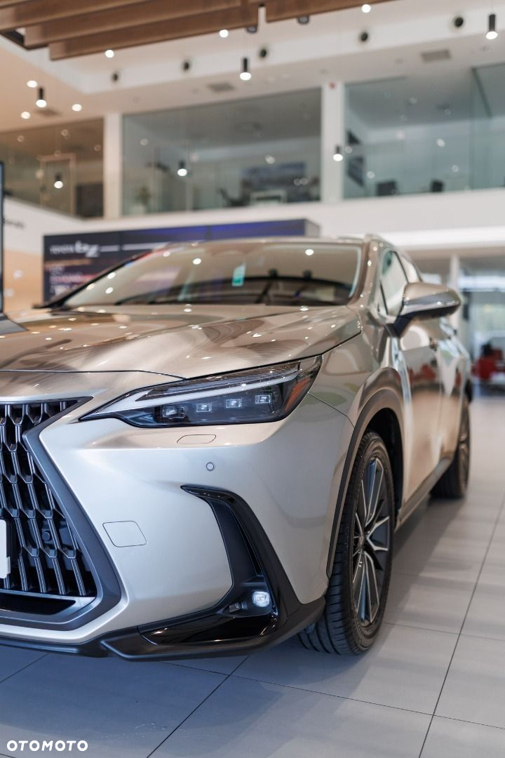 Lexus NX - 23