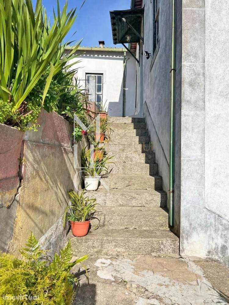 Quinta vinhateira de 1946, em Vila Marim, Mesão Frio – 71.000m2 de His - Grande imagem: 3/14