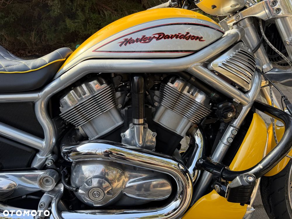 Harley-Davidson V-Rod Street Rod - 2
