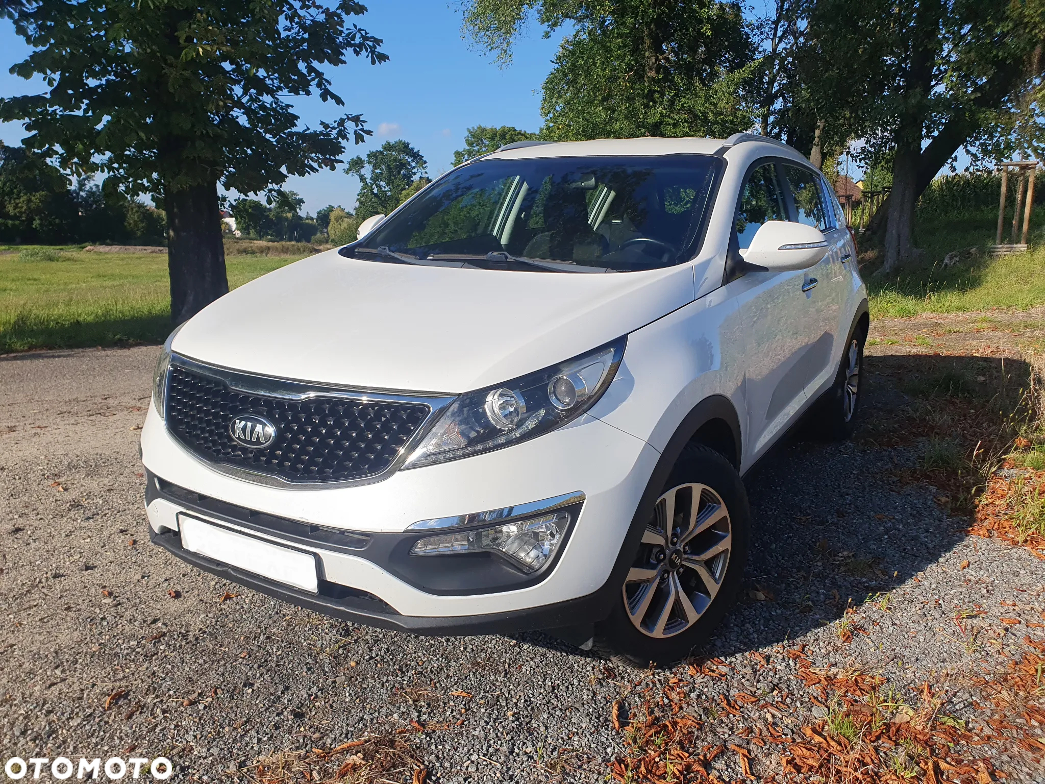 Kia Sportage 1.6 GDI Business Line 2WD - 6