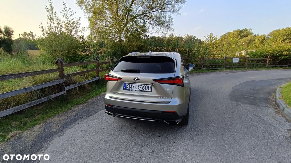 Lexus NX 300 GPF F Sport Edition AWD - 12
