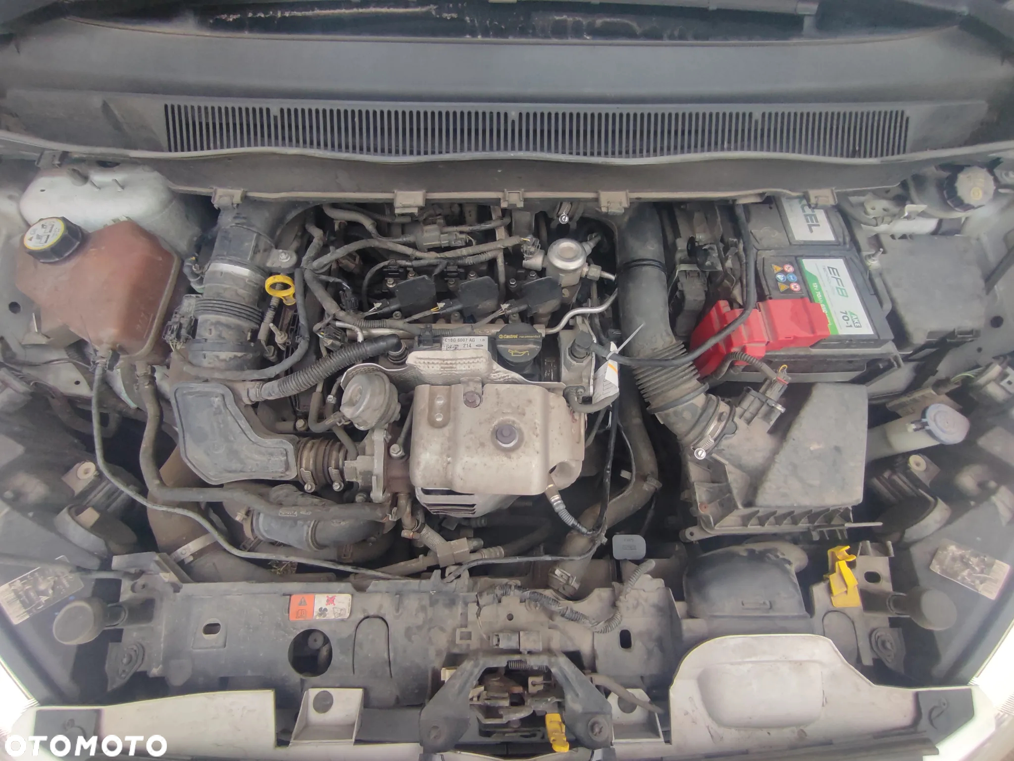 Ford B-MAX 1.0 EcoBoost Titanium ASS EU6 - 14