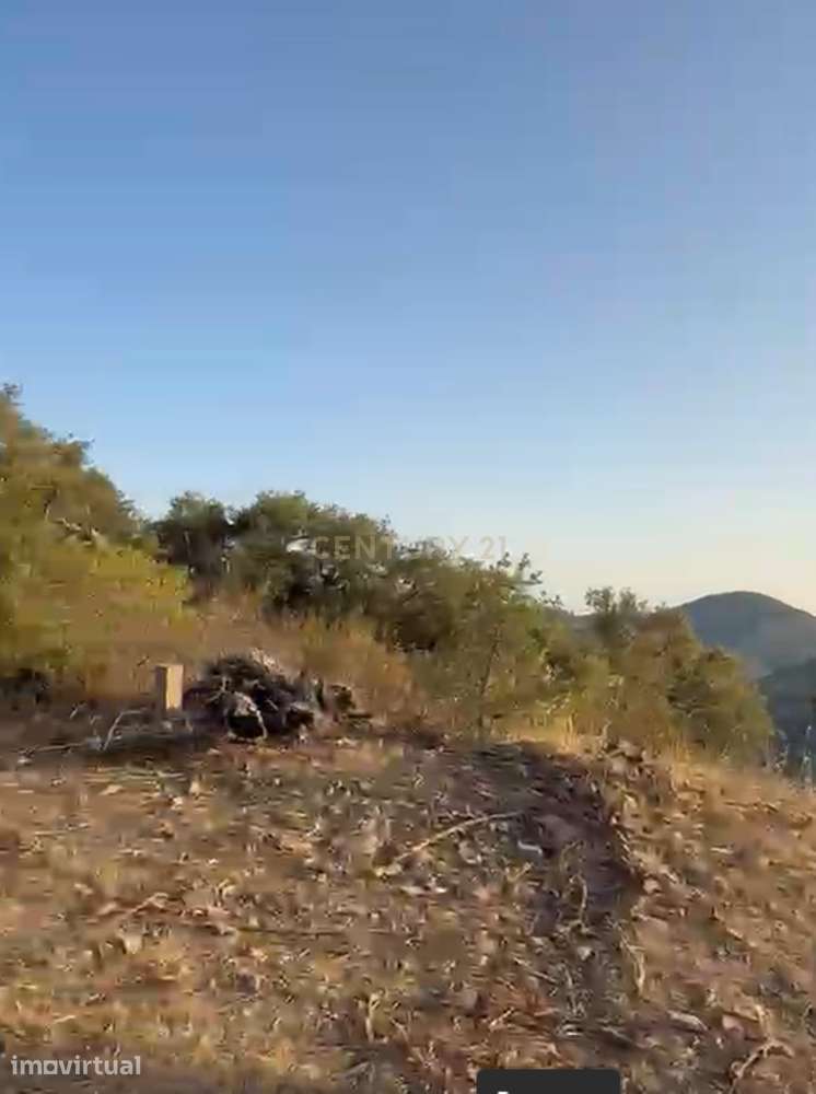 Terreno em Pé de Erva, com Ruína e Potencial de Construção, a 10 min - Grande imagem: 5/16