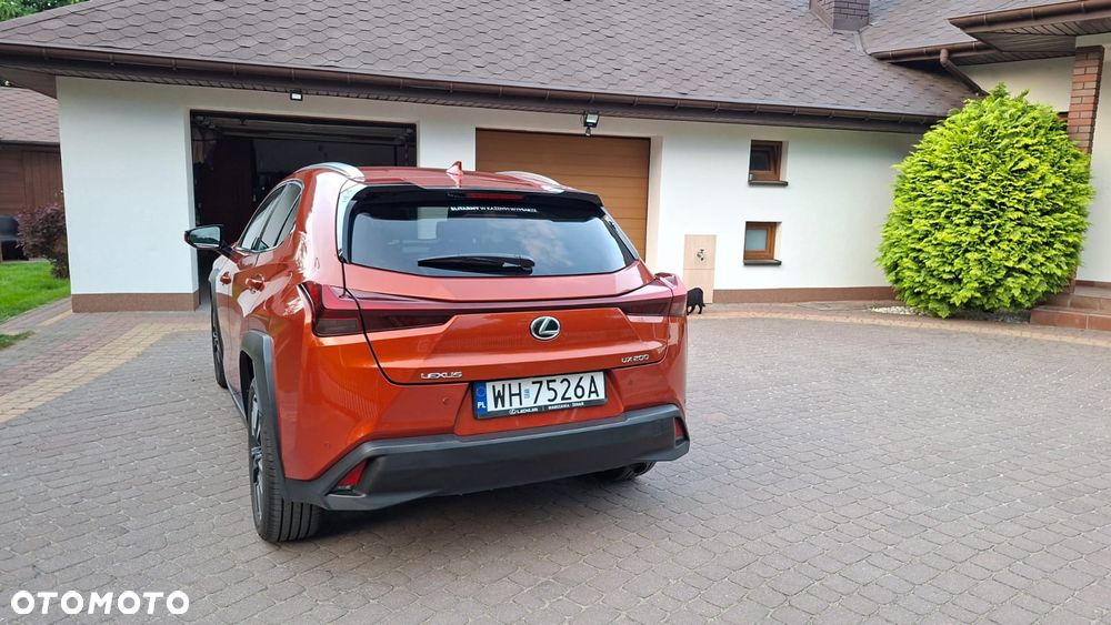 Lexus UX 200 GPF F Sport Design 2WD - 6