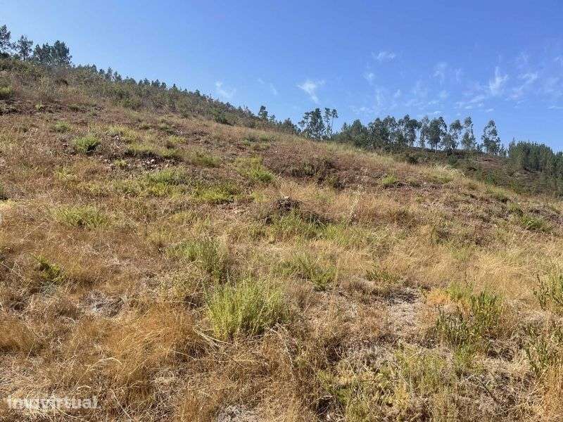 LOTE DE TERRENO - Flor da Rosa - Almalaguês - Coimbra - Grande imagem: 5/6