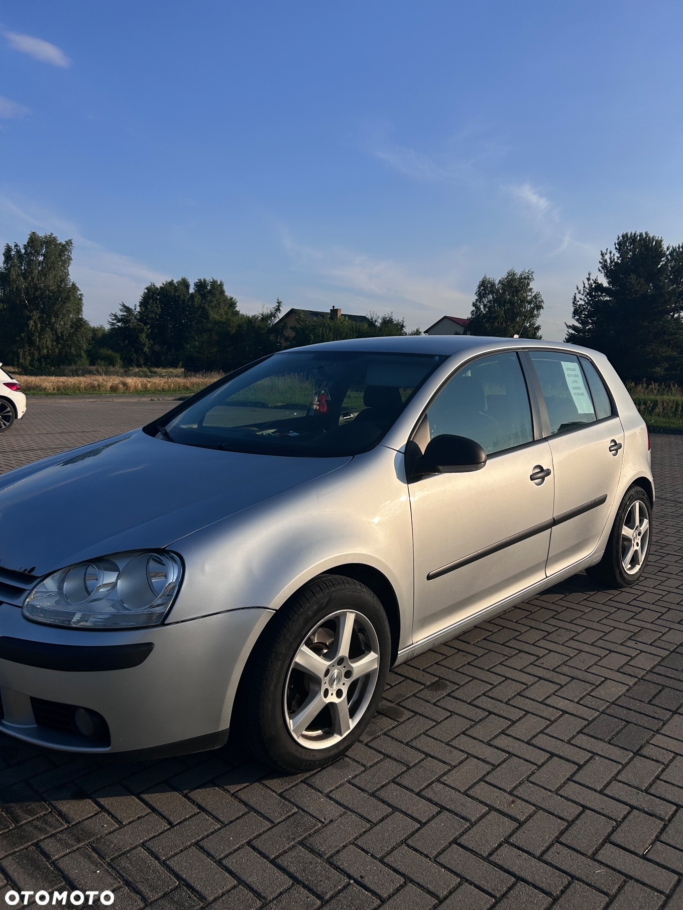 Volkswagen Golf V 1.9 TDI 4Mot Trendline - 2