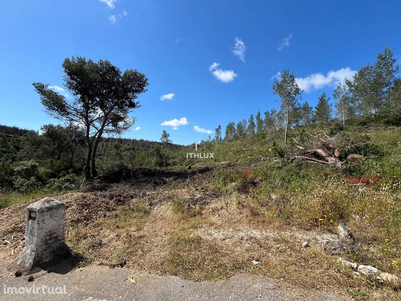 Terreno em excelente localização - Grande imagem: 3/12