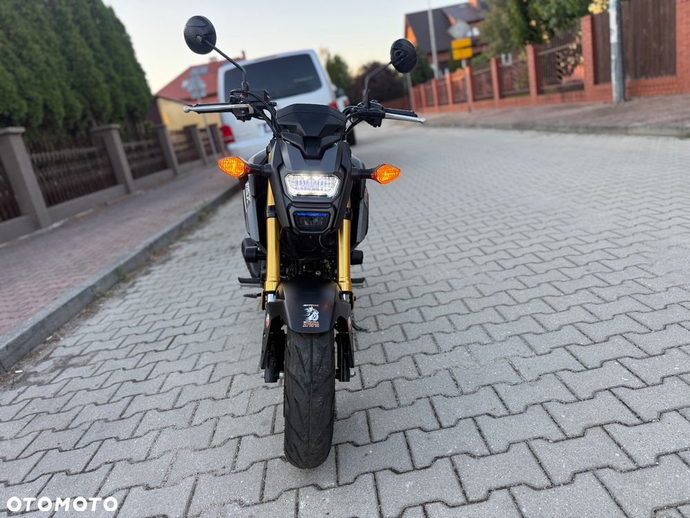 Honda MSX 125 - 7